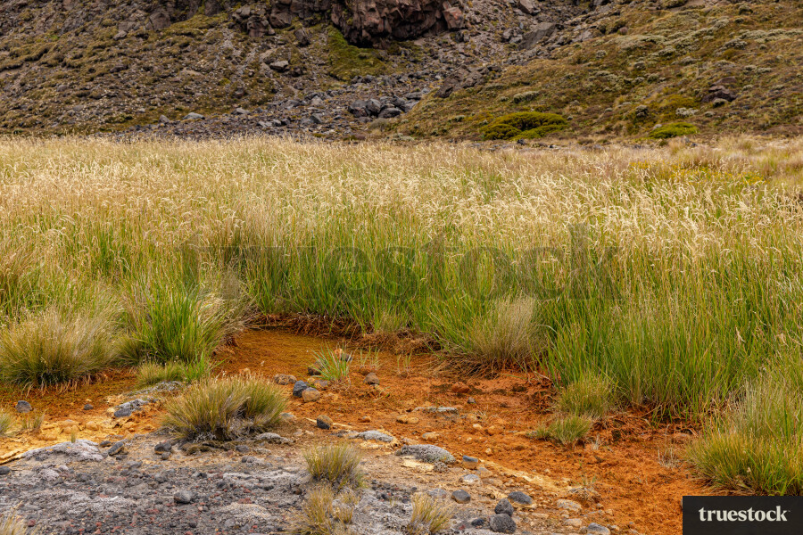 Tongariro Alpine Crossing