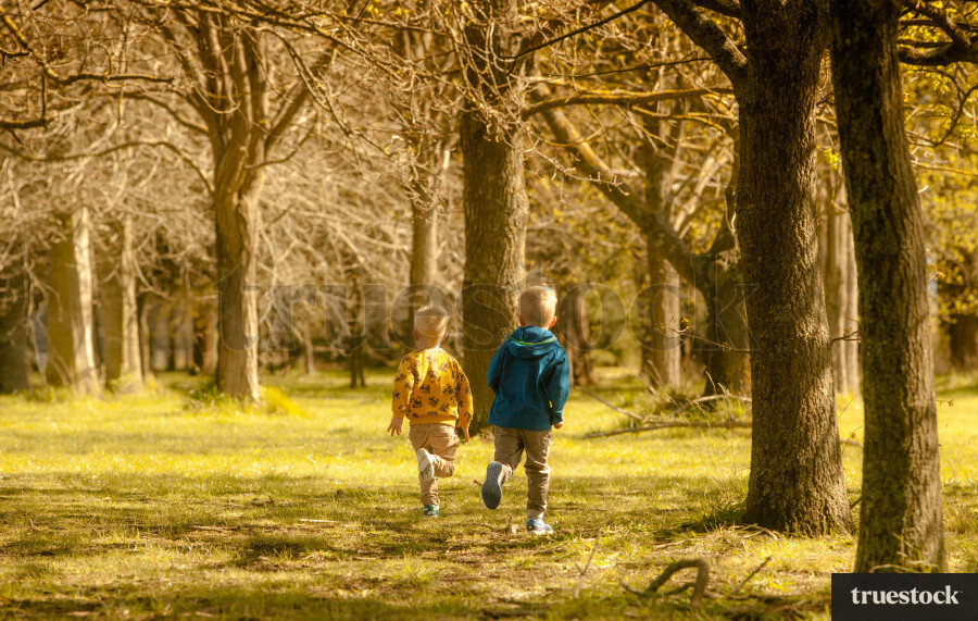 Children running through the forest on the grass