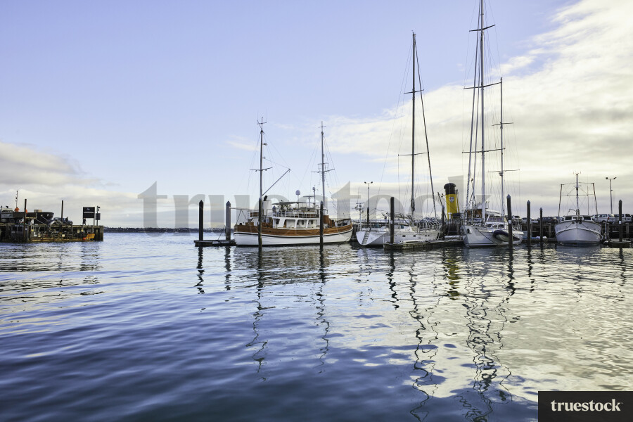 Auckland Marina