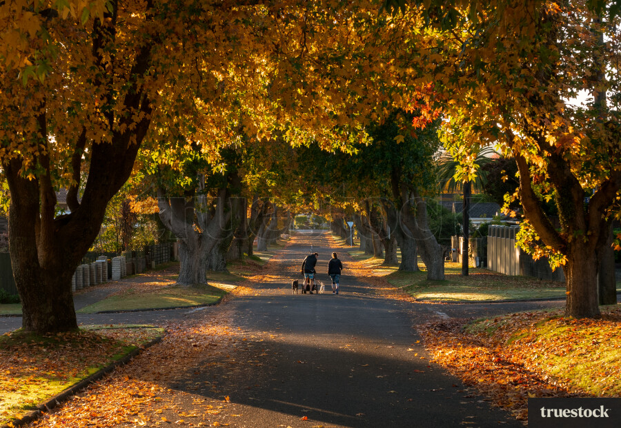 Couple walking down the road surrounded by autumn leaves