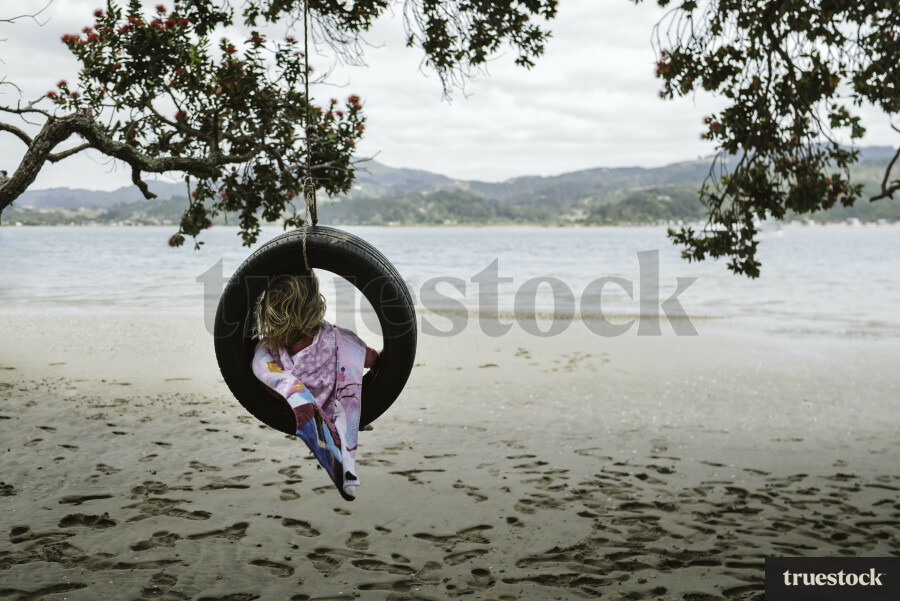 Fun in the Tyre Swing