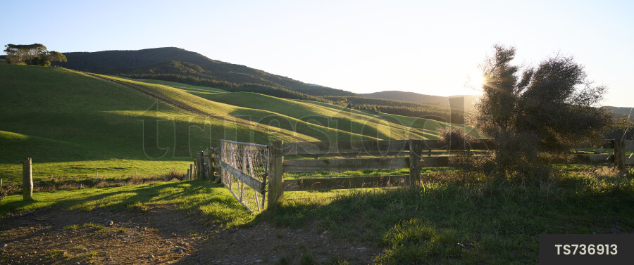 Landscape of rolling green hills