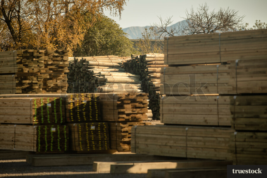 Stacks of sawn timber planks at the sawmill