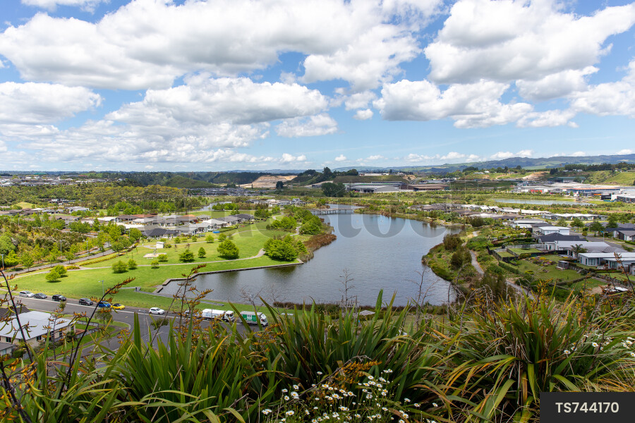 Tauranga Suburban Landscapes