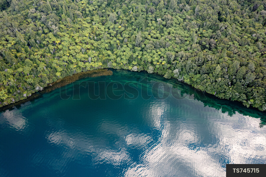 Rotorua Lake Landscape