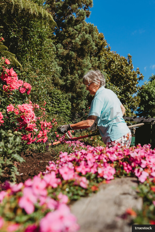 Elderly Lady Gardening