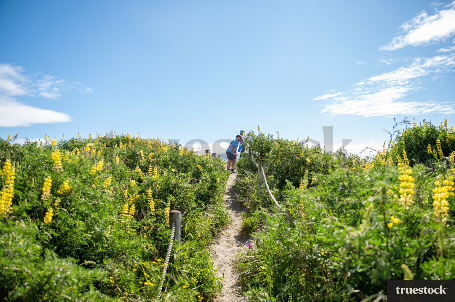 Senior couple walking to the beach through the dunes