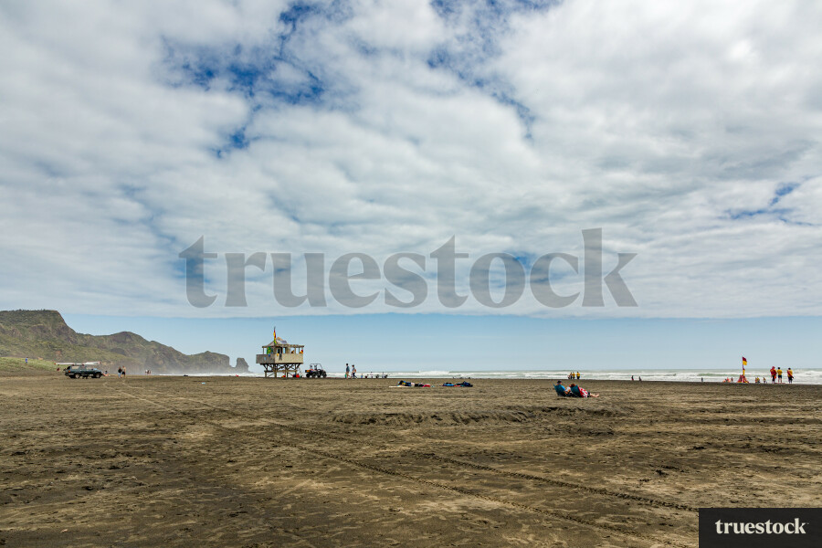 Auckland West Coast Beaches