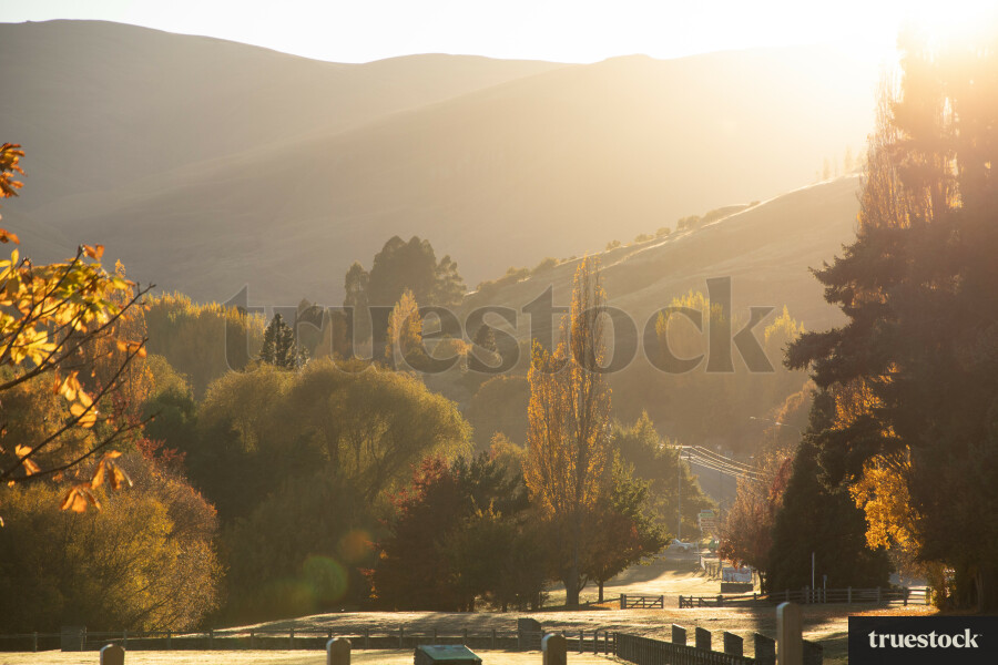 Arrowtown in Autumn