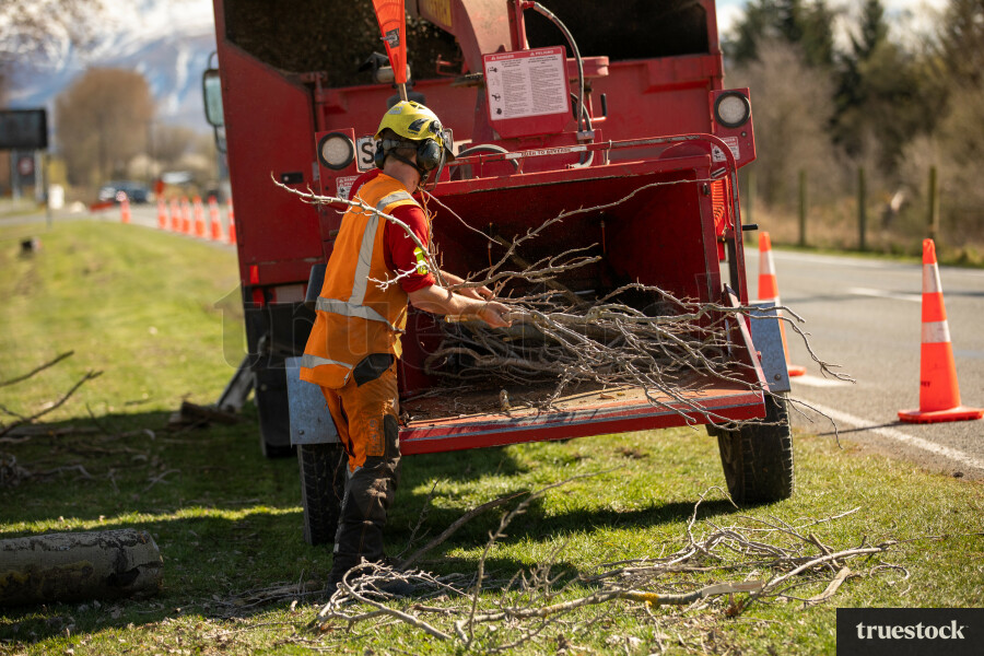 Worker Putting Branches in Machine