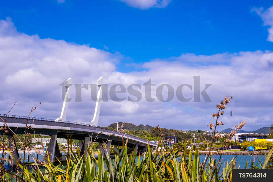 Bridge in Whangarei