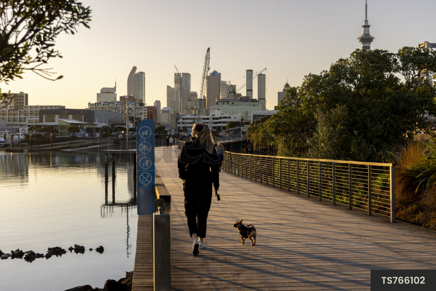 Woman walking dog on boardwalk by harbour