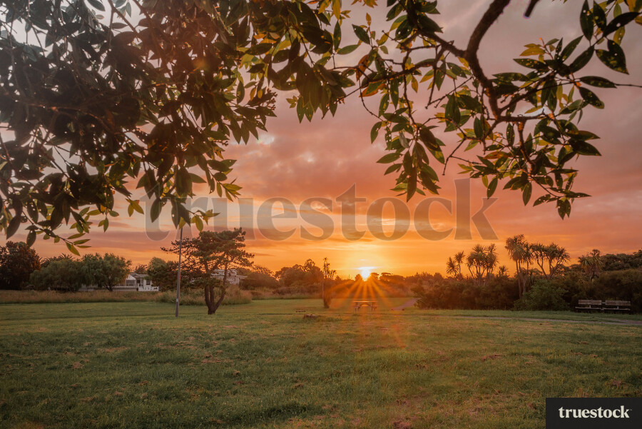 Sunset over the field with orange clouds