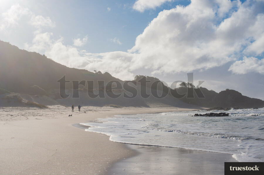 Panorama of the beach with dunes