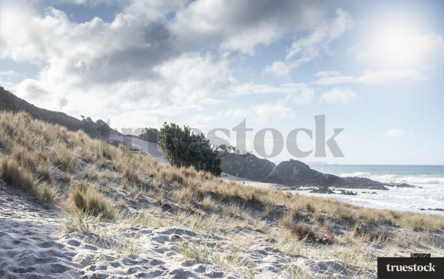 Panorama of the beach with dunes