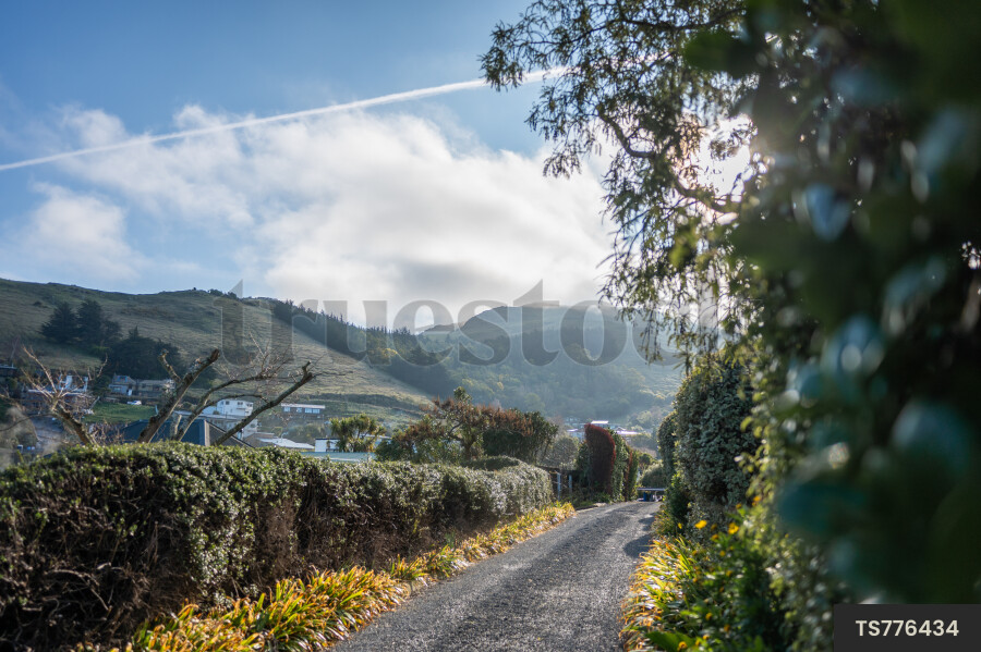 Country road at Godley Head, Canterbury
