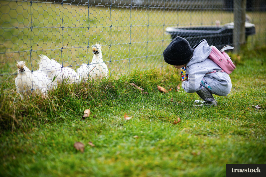 Child and chickens