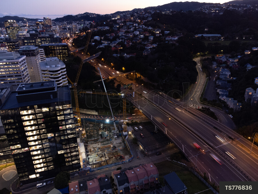 Wellington City Landscape