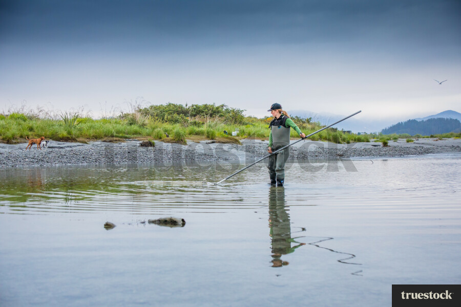 Whitebaiting on the West Coast