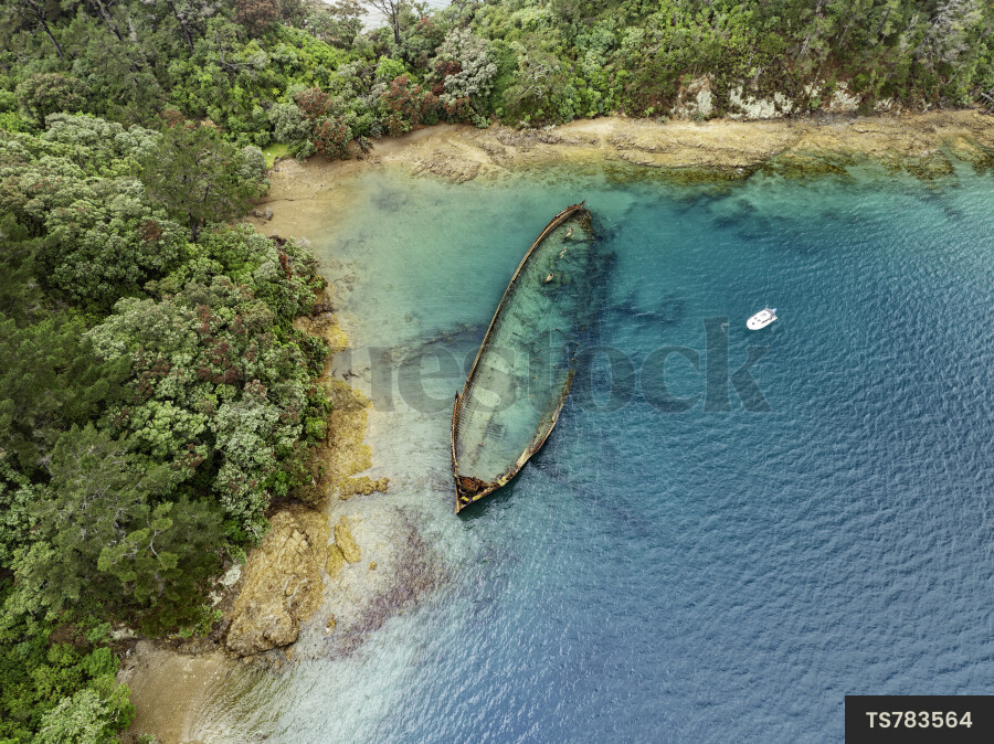Mahurangi Harbour Shipwreck