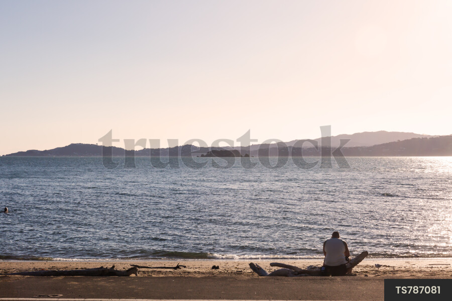 Man sitting on driftwood on beach during sunset
