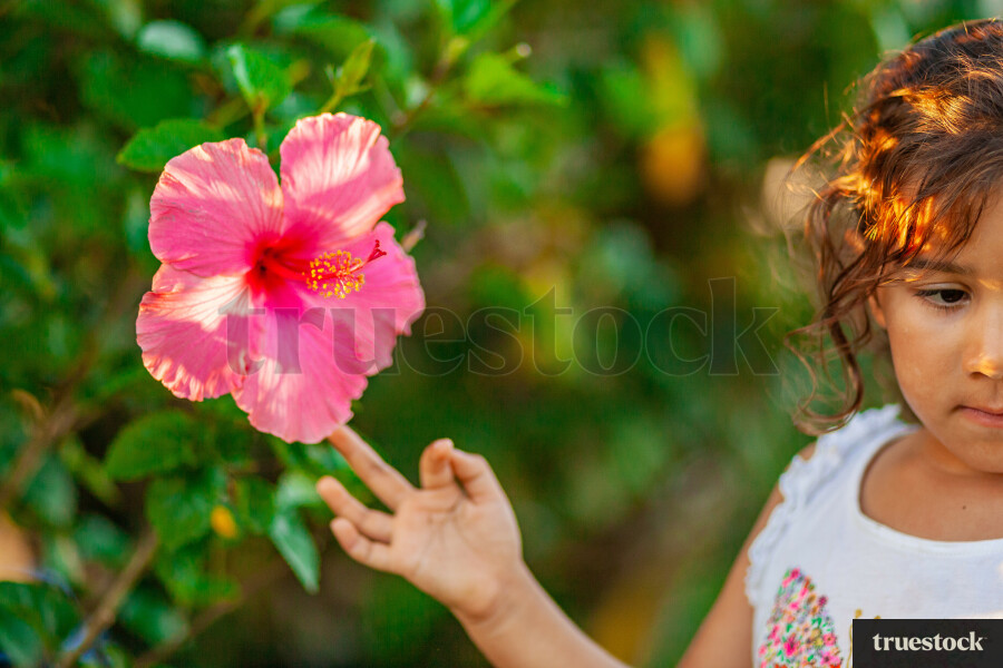 Child touching a hibiscus flower with sun rays hitting the body