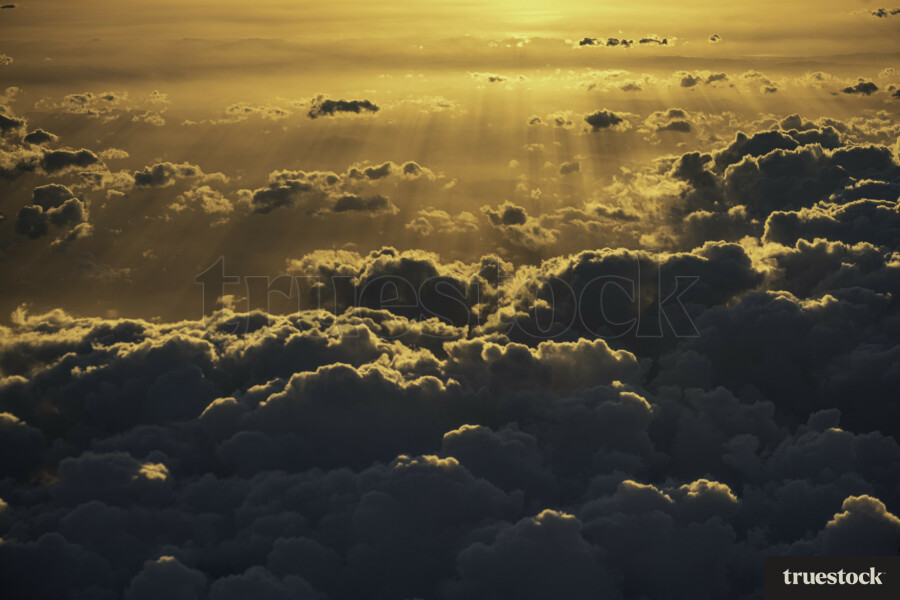 Golden Light in Wellington Sky