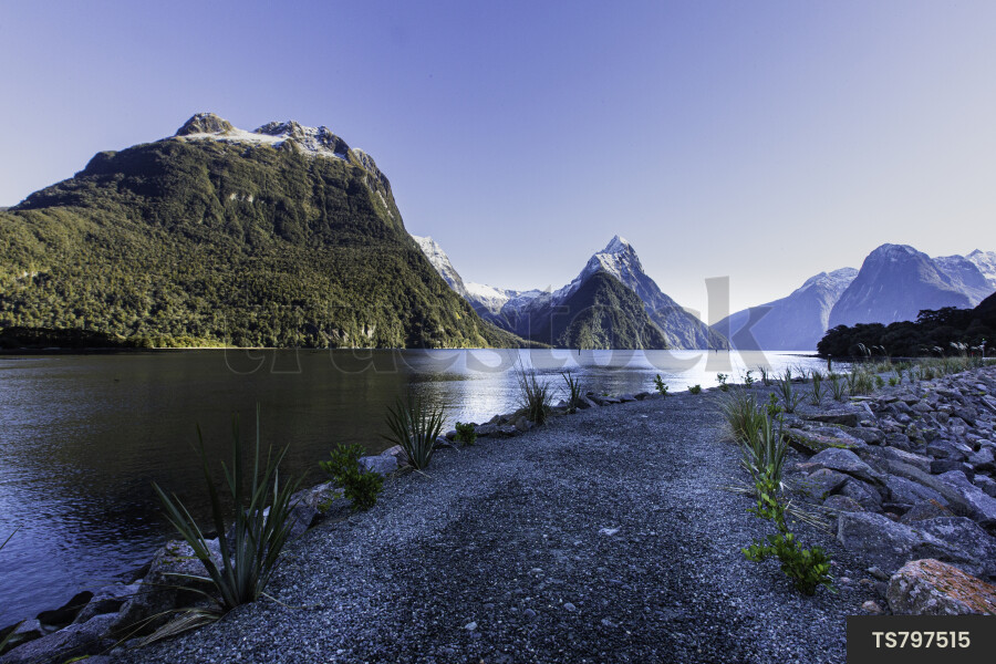 Milford Sound Landscape