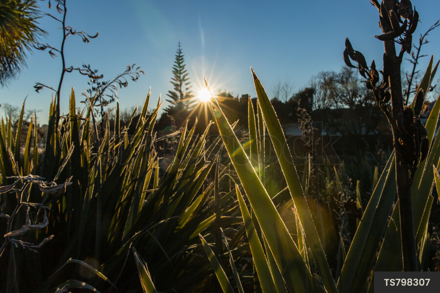 Scenic landscape of nature during sunrise in winter
