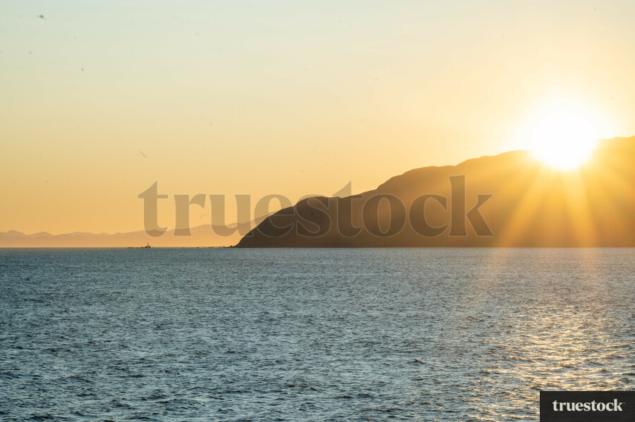 Wellington Harbour at Sunrise