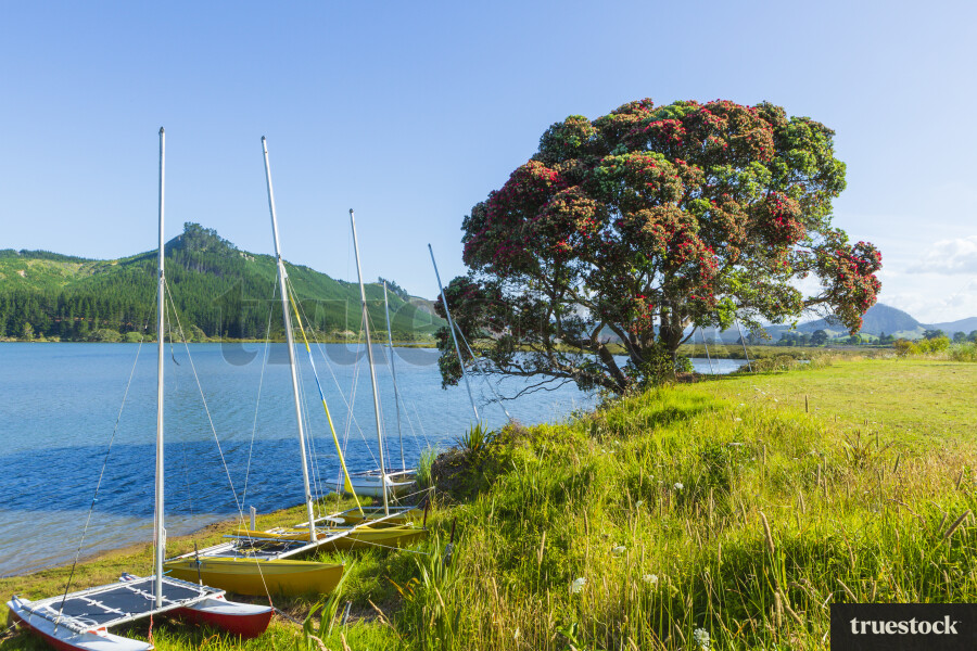 Boats on Beach Shore