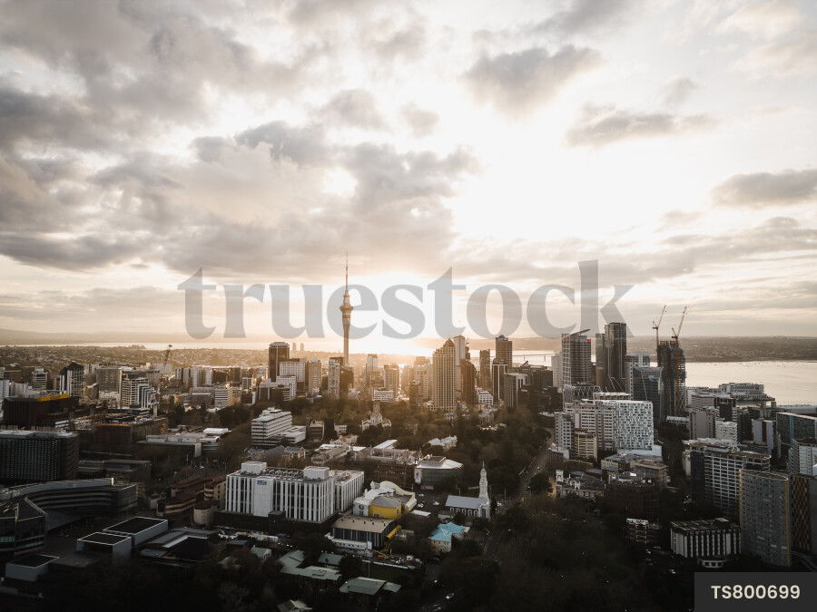 Auckland Landscape