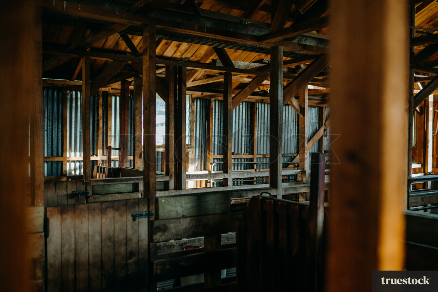 Shearing Shed