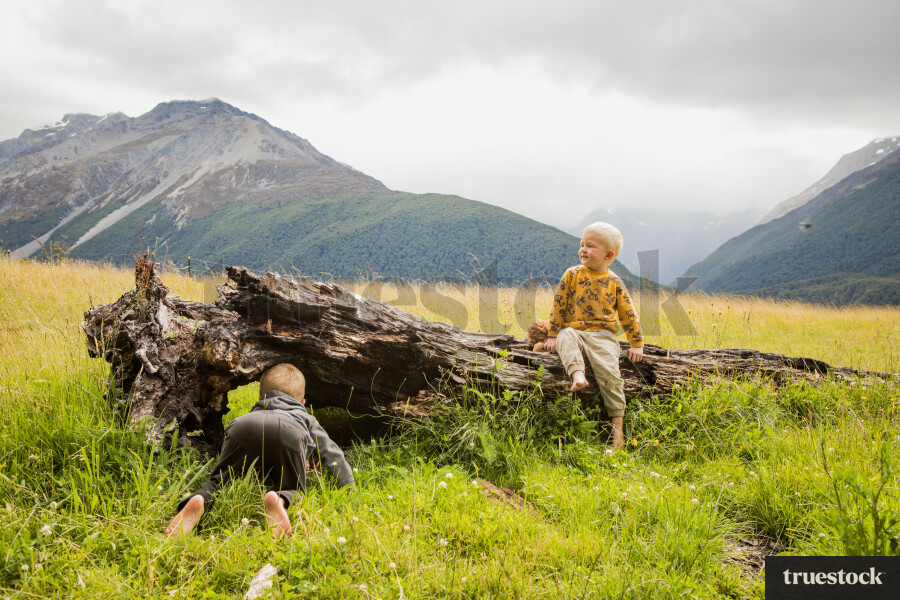 Children sitting on and exploring a log in a field by mountain ranges