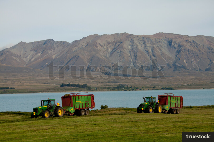 Hay making in the countryside