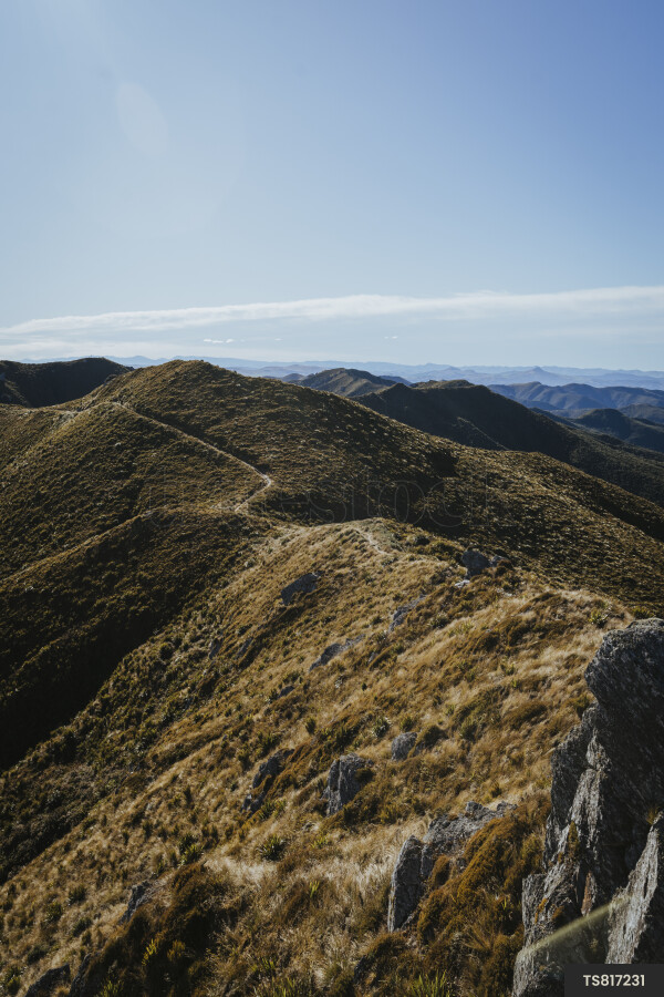 Silver Peaks Scenic Reserve