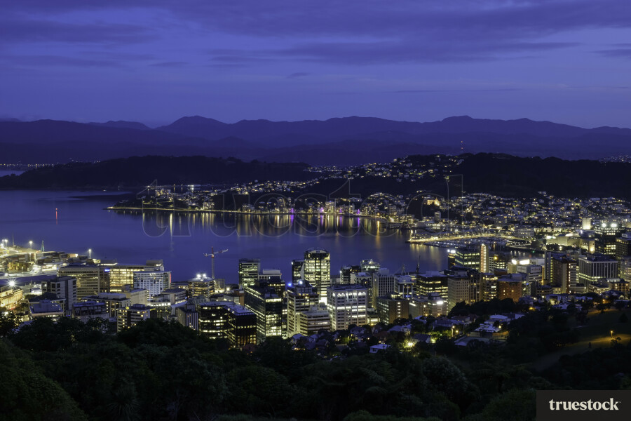 Wellington at Night
