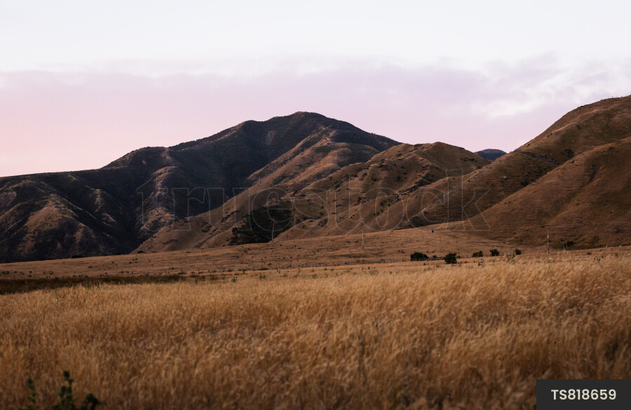 Farm and hill in Wairarapa