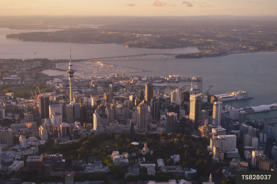 Auckland Cityscape