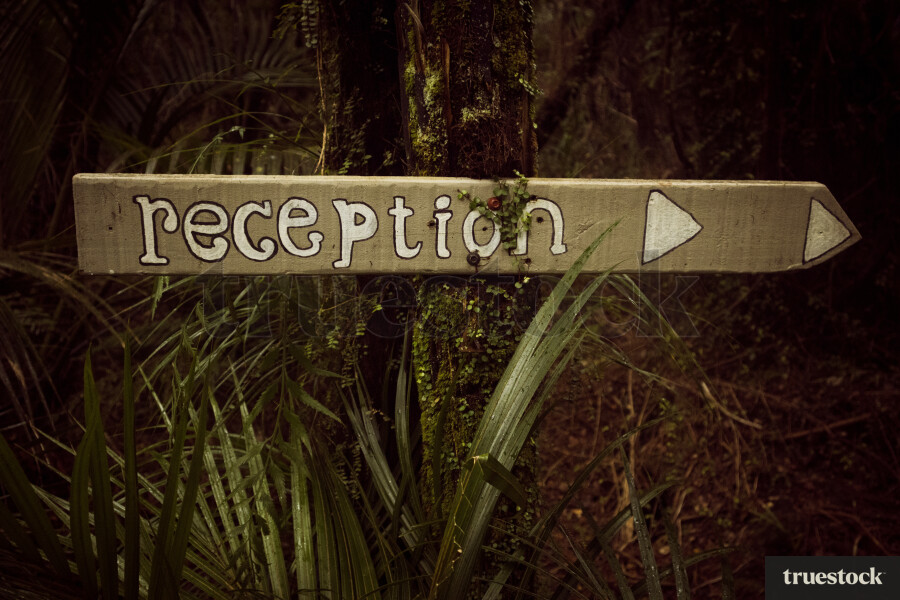 Reception sign outside on a tree