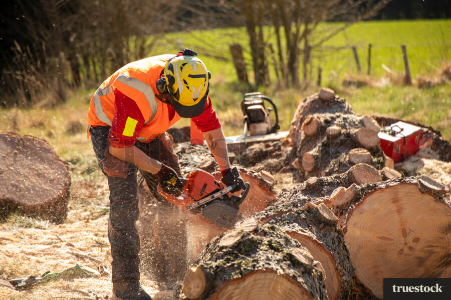 Worker Cutting Log