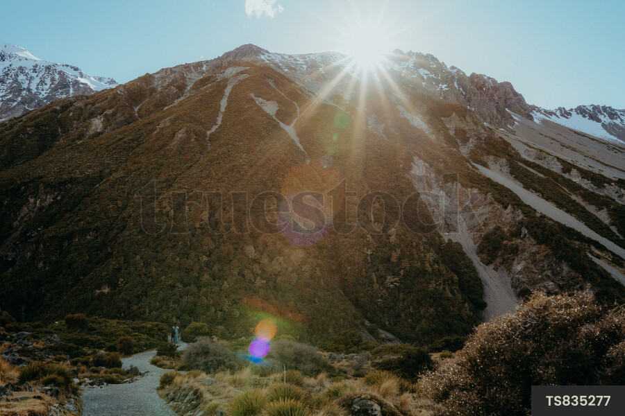 Queenstown Landscape