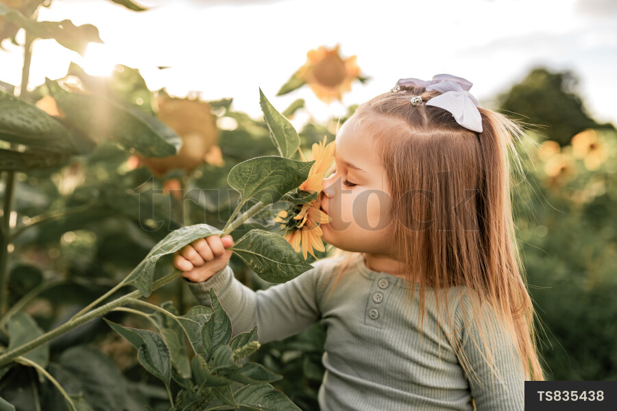 Young Girl With Sunflower