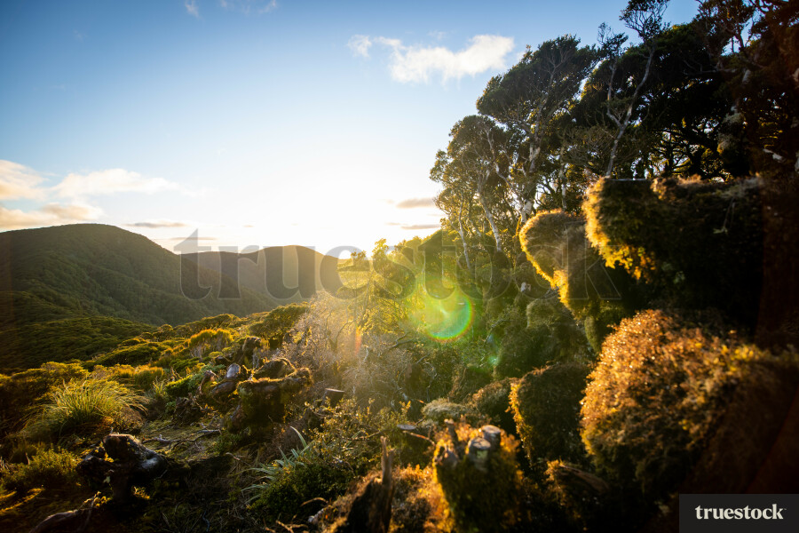 Sunshine over the mountains and ranges