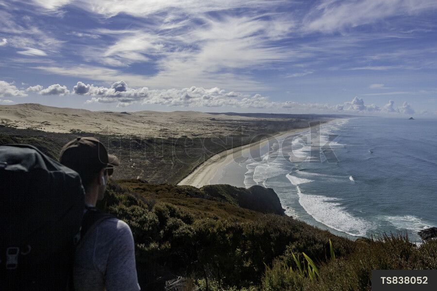 Beach landscape