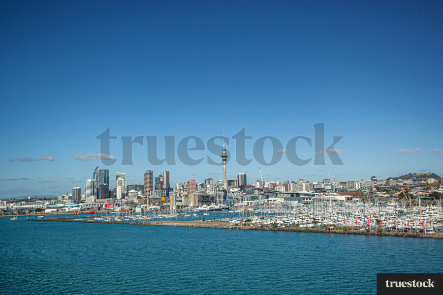 Auckland City skyline cityscape on a clear day