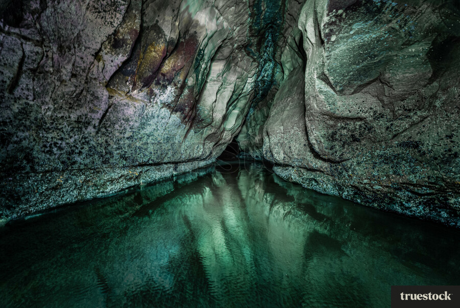 Auckland West Coast Beaches