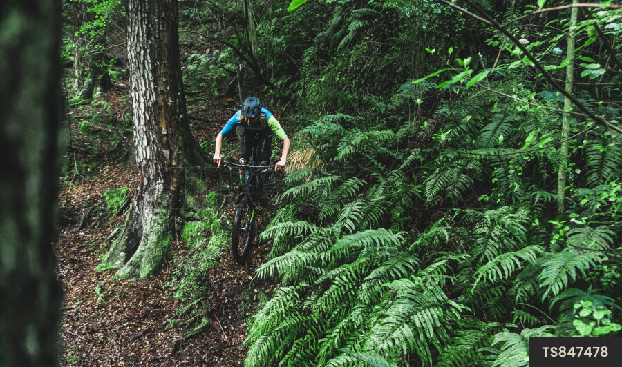 Man mountain biking through forest in South Island