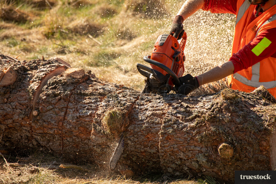Worker Cutting Log