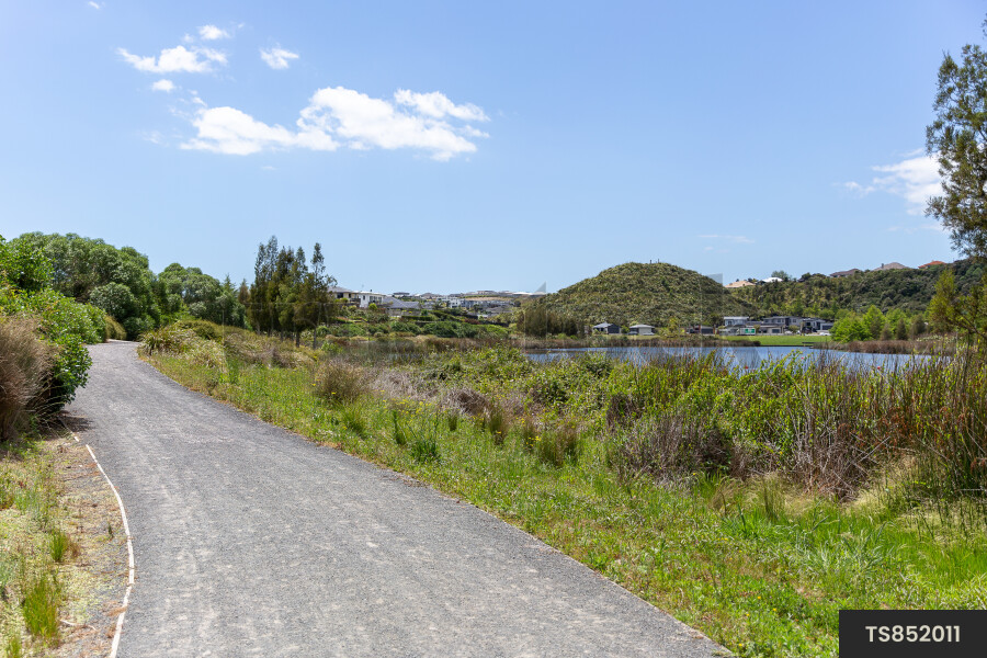 Tauranga Suburban Landscapes